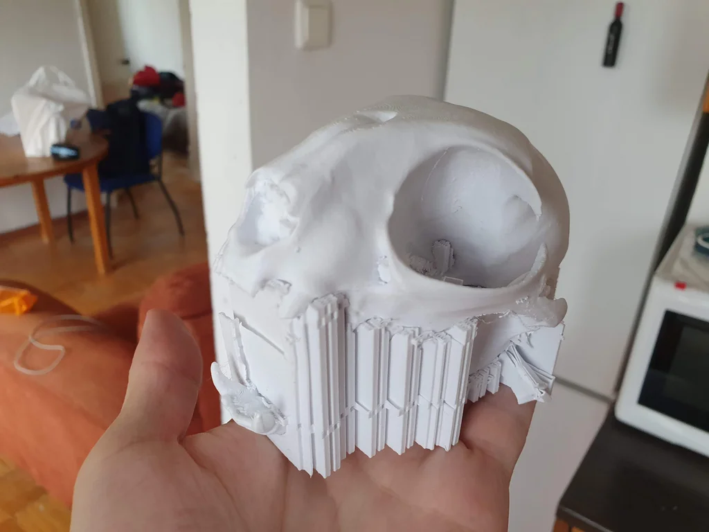 3D printed cat skull